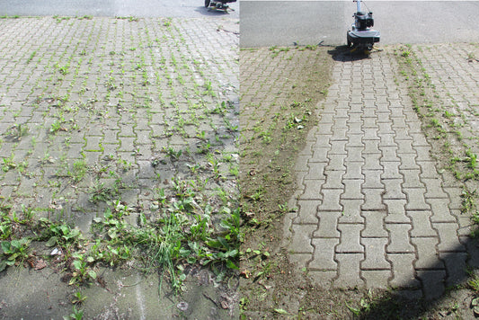 Greenbuster Home 550